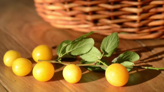 yellow plums close up 