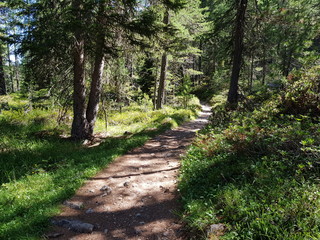 sentiero di montagna in Alta Badia