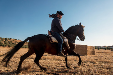 Spanish traditional horseman