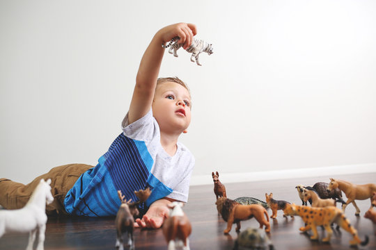 Adorable Little Boy Playing With Animal Toy Figures