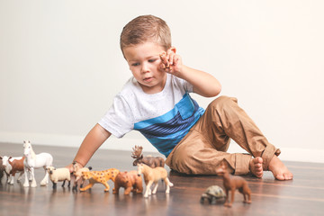 Adorable little boy playing with animal toy figures