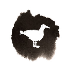 Seagull - grunge white bird on the black watercolor background