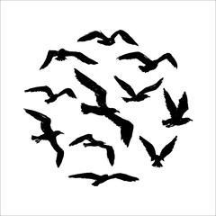 Seagulls - grunge round pattern with hand-drawn birds