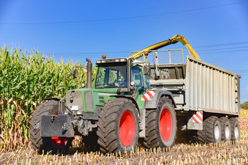 Maisernte - Landtechnik im Einsatz
