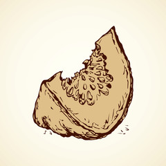 Piece of pumpkin. Vector drawing