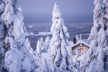 Cabin in the winter wonderland.