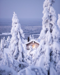 Winter wonderland, Cabin in the woods.