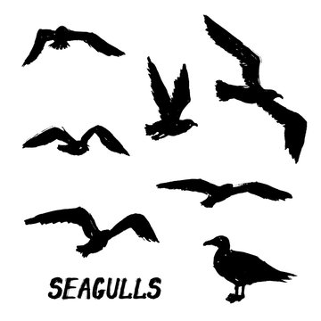 Seagulls - Set of 7 grunge hand-drawn birds 2