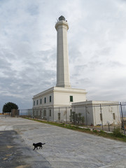 Fototapeta premium Leuca