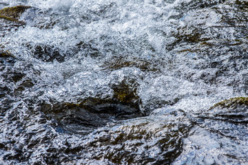 Fototapeta premium Water in Nature