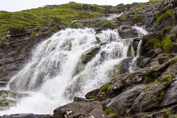 Water in Nature