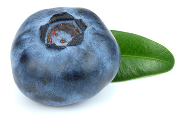 blueberries with green leaf isolated on white background. macro