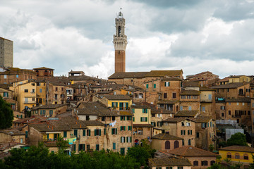 Siena