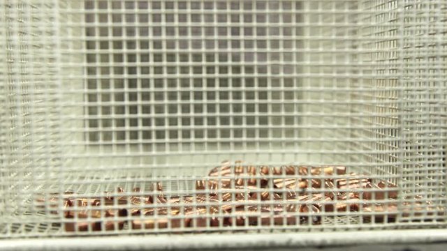 Close up, person places shells of bullets in crate