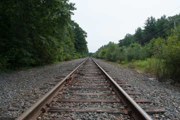 Fototapeta premium Train Tracks