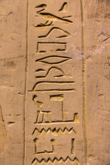 Hieroglyphic carvings on the exterior walls of an ancient egyptian temple