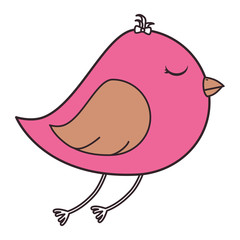 cute bird isolated icon vector illustration design
