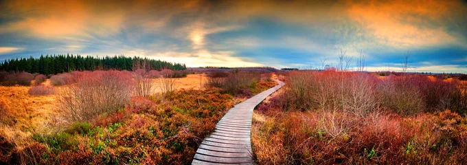 Fotobehang Panoramisch herfstlandschap met houten pad. Herfst natuur achtergrond © Grecaud Paul