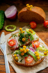 Wholesome sandwich with cheese, garden radish -Healthy Eating
