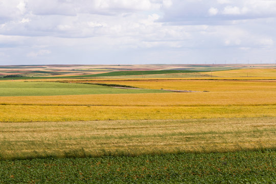 Vista general de campos agricolas con cultivos diversos de distintos colores en verano