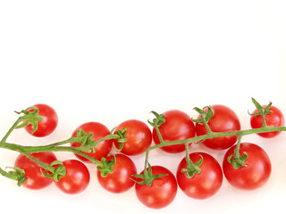 Solanum lycopersicum isolated on the white