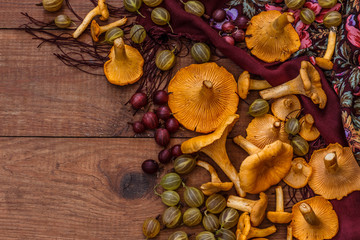 orange chanterelle mushrooms, yellow and red gooseberries and patterned scarf on brown wooden table