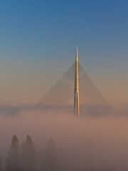 Fototapeta premium Cable bridge lit by sunshine above fog at sunrise near Ada in Belgrade, Serbia