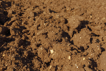 Soil texture background