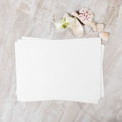 Frame from natural elements