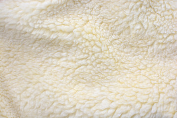 The background texture of a sheep wool. A warm fur carpet.