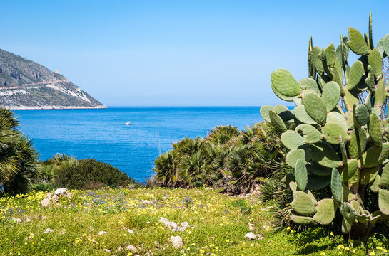 Zingaro Natural Reserve, Sicily, Italy