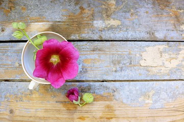 Flower in a cup on a wooden background