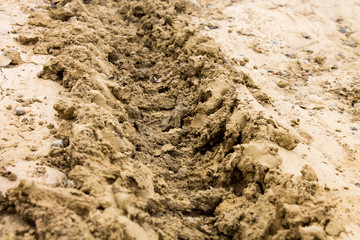 Dried earth excavated. Imprint of a tractor. The picture is black and white.