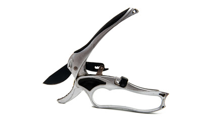 Secateurs isolated