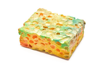 sponge
