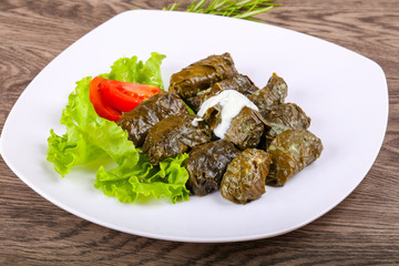 Dolma - stuffed meat in grape leaves