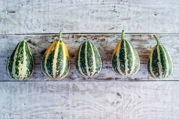 Young colorful gourds on a white wooden background