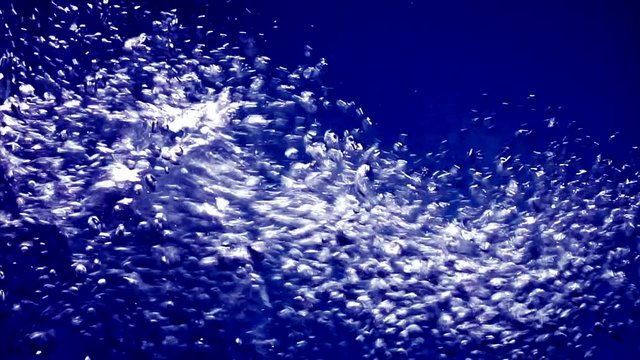 Water bubbles in slow motion, fresh bubbles splash falling down into water 