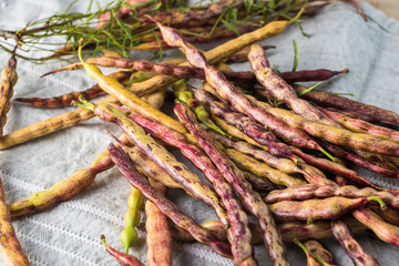 Wild mesquite beans.