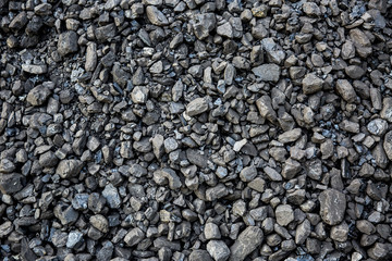 Coal