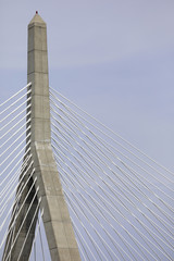 Section of the Zakim Bridge Boston