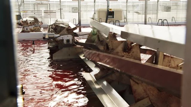 Turbines spin in algae farm