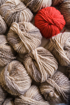 Balls of yarn, one different