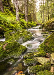 Obraz premium Water flow in a stream, long exposure, vertical