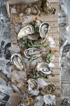Oysters on crushed ice on a wood surface with a vintage knife  on the side