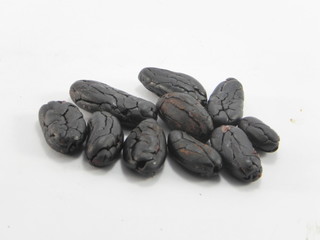 cacao beans isolated on white background