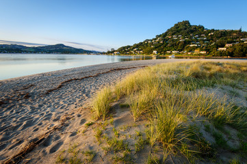 Mount Paku, Coromandel