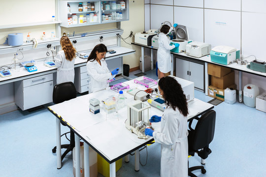 Interior of laboratory with four doctors working.