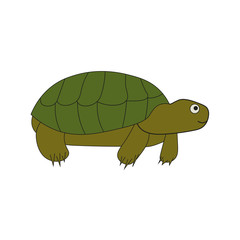 Flat simple turtle isolated on white background. Green color outline icon of kind animal in the cartoon style. Vector turtle illustration.