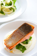 balanced meal with salmon, salad and lemon